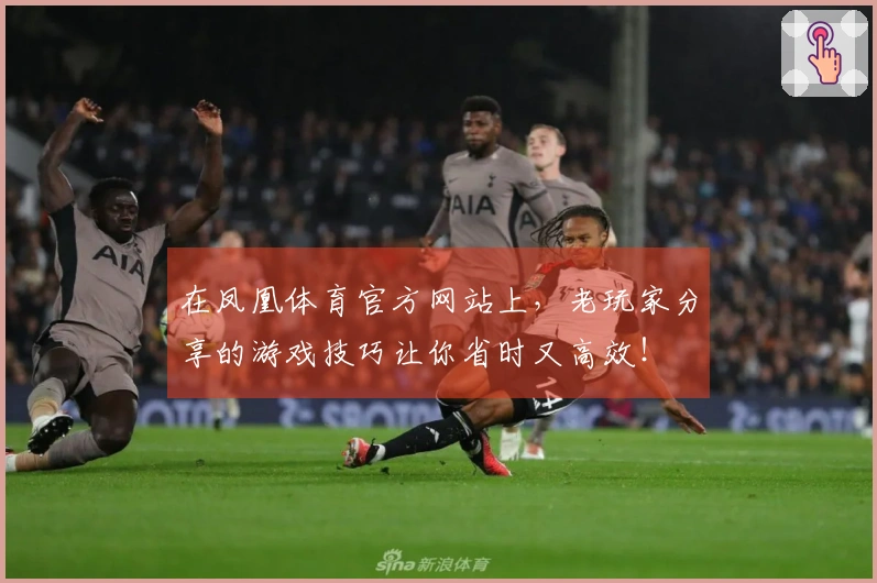 在凤凰体育官方网站上，老玩家分享的游戏技巧让你省时又高效！