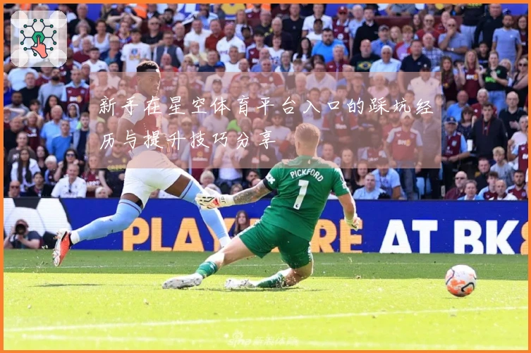 新手在星空体育平台入口的踩坑经历与提升技巧分享
