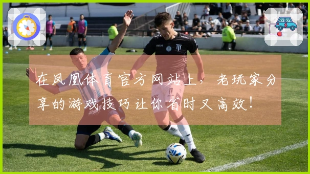 在凤凰体育官方网站上，老玩家分享的游戏技巧让你省时又高效！